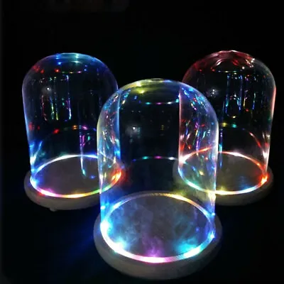 £8.95 • Buy LED Light Up Glass Display Cloche Dome Bell Jar RGB/Warm White Wooden Base Decor