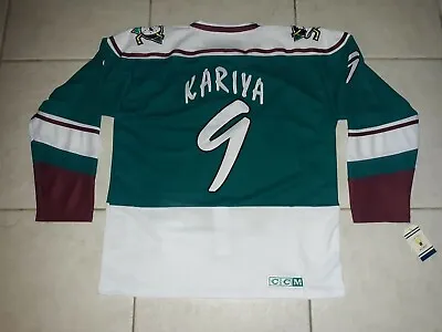Paul Kariya Anaheim Mighty Ducks Ccm Throwback. 1995-96 Alternate. Nwt. Size Lg. • $80
