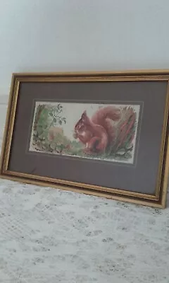 Vintage Jacquard Loom Hand Embroidered Woven Silk Framed Picture Red Squirrel  • £14