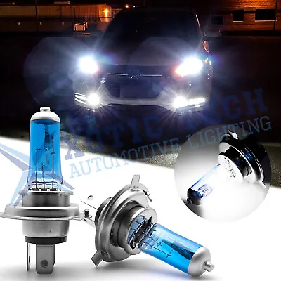 Xenon White H4 9003 55W Halogen Bulbs Fog Lights Headlight High Low Beam Daytime • $9.99