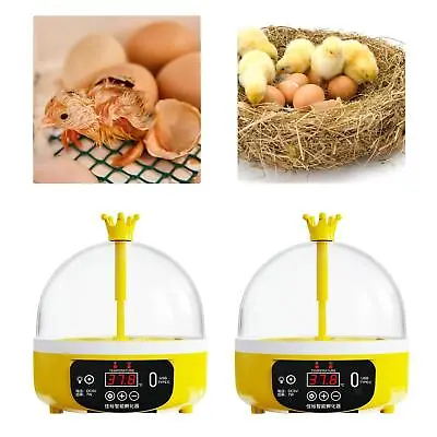 Egg Incubator Science And Education Digital Poultry For Chicken Birds Quail • £19.63