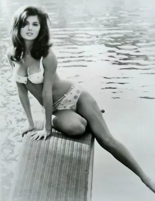 $9 • Buy Pamela Tiffin In Promotional Photo For Harper Old Retro Photo Reprint 5  X 7 
