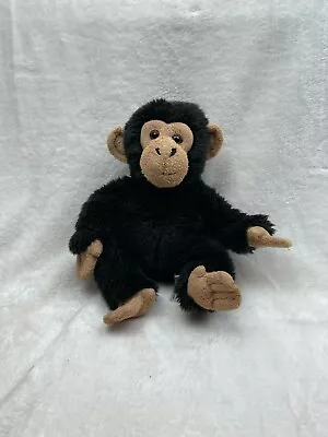 £9.99 • Buy Keel Toys Chimp Chimpanzee Monkey Soft Toy Plush
