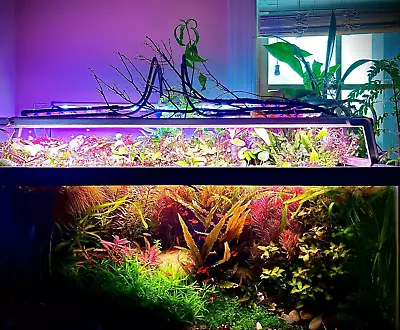 Live Aquarium Plant Pack Bundle 5+Species! 1-3 Stems Each|Easy|Floater|Red|Green • $13.75