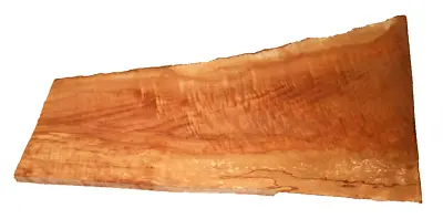 SPALTED CURLY MAPLE SLAB TURNING ART CRAFTING WOODWORKING APPROX 20x11x1.5 IN • $25