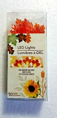 Light-Up Fall Leaves LED Light Set  Indoor Decorative FUN Fall Harvest  • £12.51
