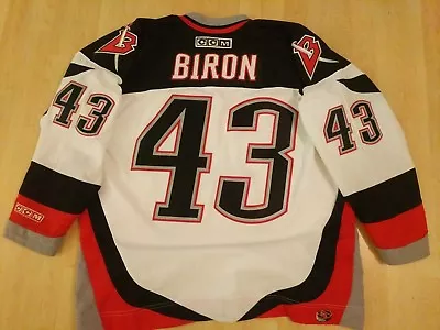 Marty Biron XL Vintage Sabres Goat Head Jersey • $675