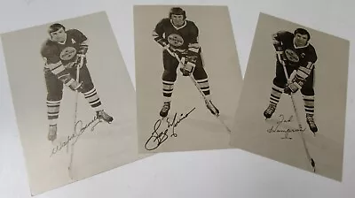 1972-73 Minnesota Fighting Saints Postcards - Pick From List! Connelly Hampson • $10