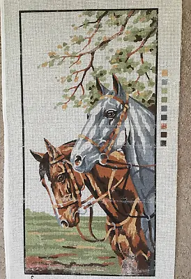 Needlepoint Tapestry Canvas- Two Horses (54cm X 30cm) • £8