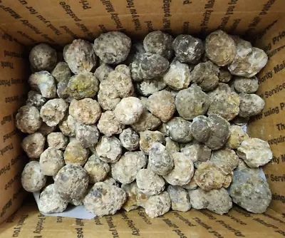 Geodes Nodules Mexico 9 Lbs. Lapidary • $19.99