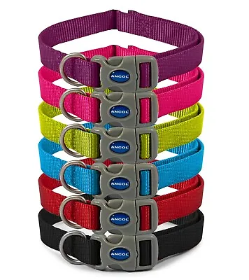 Ancol Viva Nylon Adjustable Quick Fit Buckle Dog/puppy Collar - 6 Colours • £4.90