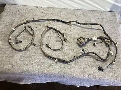 2021 2022 2023 Ford F150 Front Bumper Wiring Harness OEM • $75