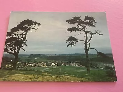 Staffordshire Milford Cannock Chase  Postcard B2 202 • £0.99