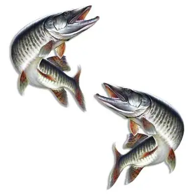 Muskie Fishing Decal Set Muskellunge Sticker For Boat Tackle Box Canada New York • $8.99