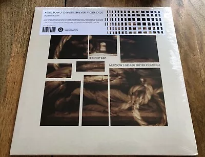 Merzbow / Genesis P-Orridge  - Perfect Pain - Vinyl - Throbbing Gristle - Noise • $32.99