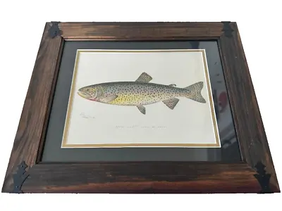 Vintage Original Denton Tahoe Trout Fish Print Framed / Matted 17.5 X 14.5 • $49.99
