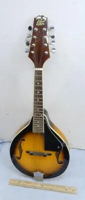 Vintage Rogue RM 100A Mandolin Fine Musical Instrument Folk Music ! • $69.95