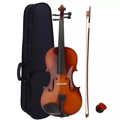 Christmas Gift Acoustic Violin 4/4 Full Size With Case And Bow Rosin • $49.96