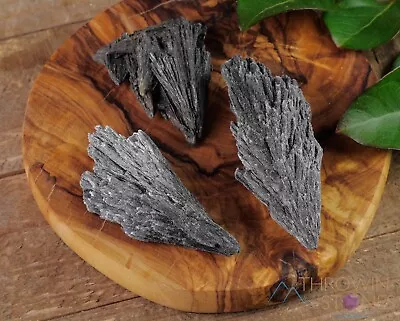 BLACK KYANITE Raw Crystal Fan - Metaphysical Home Decor Raw Stones E0836 • $8