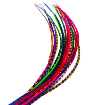 Feather Hair Extensions 100% Real Rooster Feathers 20 Short Rainbow Colors Kit • $19.95