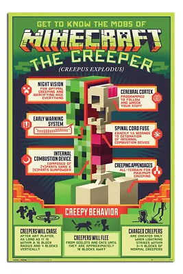 Minecraft Maxi Poster 24 X 36 Inches Creepy Behaviour | Official Licensed • £9