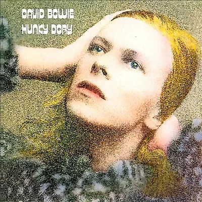 David Bowie : Hunky Dory (2015 Remaster) CD Incredible Value And Free Shipping! • £6.23