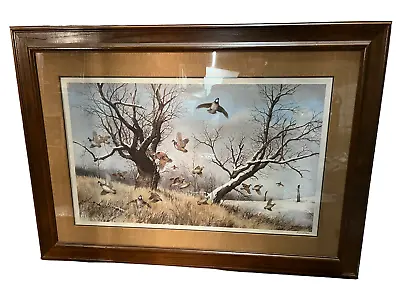 Vintage “Winter Covey Bobwhites” Maynard Reece Framed Ltd Ed. Art Print 349/950 • $350