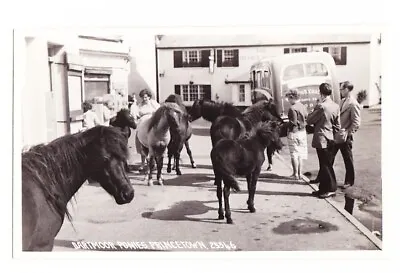 Vintage Postcard Dartmoor Ponies Princetown Devon England (Unposted) REAL PHOTO! • £3.50