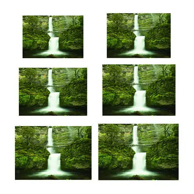 High Quality PVC Aquarium Forest Background Poster 3D Fish Tank Wall Paper • $13.56