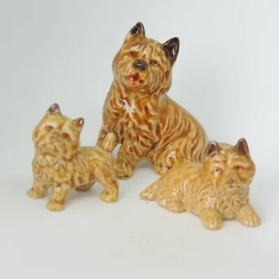 Wade - Dog Series -  Cairn Terriers - Mother And Two Pups - E 1969-82 • £31