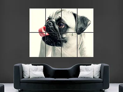 £18.95 • Buy Pug Cute Poster Animal Dog Image Huge Large Wall Art Print