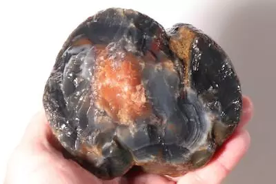 Timor Agate Lapidary Cabbing 1 Lb 10 Oz. Rough Lot #12 • $7.99