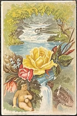 Murray & Lanman’s Florida Water Trade Card Late 1800’s • $16