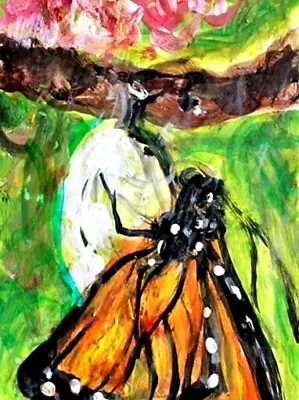 ORIGINAL ACEO Painting Monarch BUTTERFLY Cocoon Spring Summer Insect Wings ART • $14.99