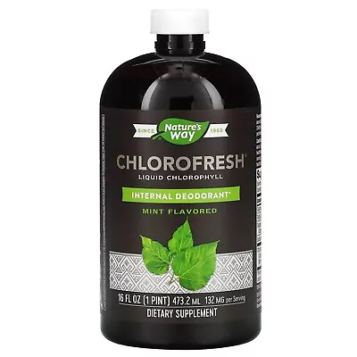 Nature's Way Chlorofresh Liquid Chlorophyll Mint 132 Mg 16 Fl Oz (473.2 Ml) • $25.60