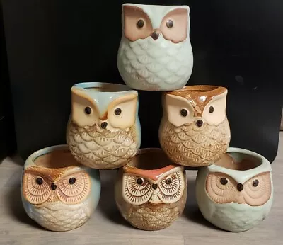 Mini OWL TERRA COTTA PLANTER POT 2.5x2” Cactus Succulent Set Of 6 • $15