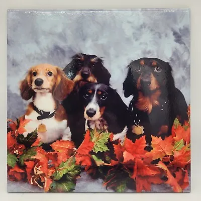 Dachshund Dog Ceramic Clay Tile Trivet Photograph Handmade Gift 12 X12  • $25