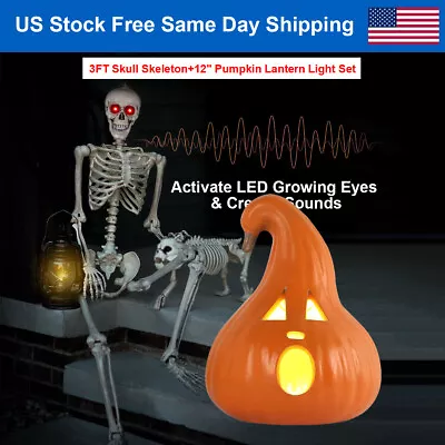 3FT Halloween Skull Skeleton Bones LED Eye +12  Jack O Lanterns Light Up Pumpkin • $69.86