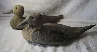 RARE 1930's Antique OLIVEROS DECOY CO Canvas Drake & Hen Pintail Duck Glass Eyes • $150