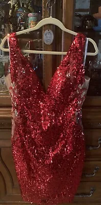 Mnm Couture Dress Size 10 • $359