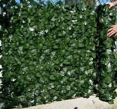 5m Artificial Hedge Trellis Fake Ivy Leaf Fence Garden Privacy  Screening Rolls • £5.68