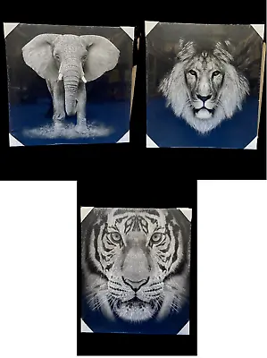 Glitter Black White Grey Canvas Wild Animal Wall Art Picture Home Decor 50cm • £9.95