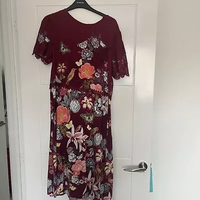 Oasis Short Sleeve Birds Butterflies Flowers Lace Trim Maroon Dress UK Size 14 • £5.99