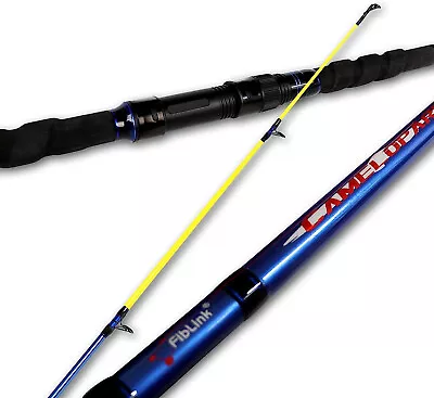 Surf Spinning Casting Travel Rod 2/3/4PCS Carbon Fiber Fishing Pole Heavy Medium • $114.99