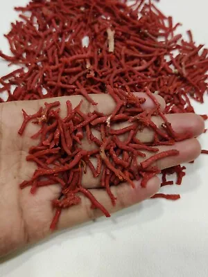 50 Pcs Lot !! Red Coral Unpolished Branch Beads-Natural Italian Coral Reef Beads • $35.99