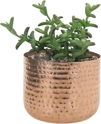 Multi-functional 6-inch Hammered Style Copper-Tone Metal Succulent Planter Pot • $22.99