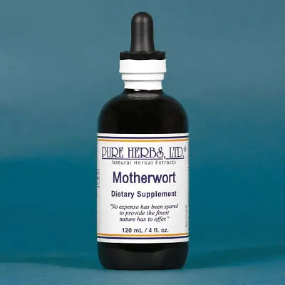 Pure Herbs: Motherwort - 4 Oz. • $32.50