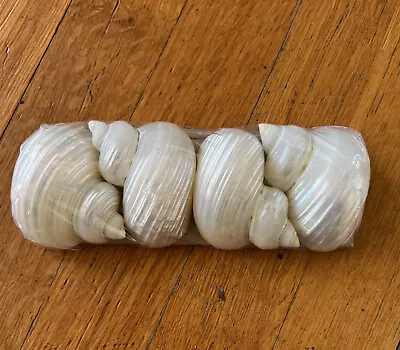 Vintage Pearl Silver Mouth Shell Napkin Rings New Old Stock • $25