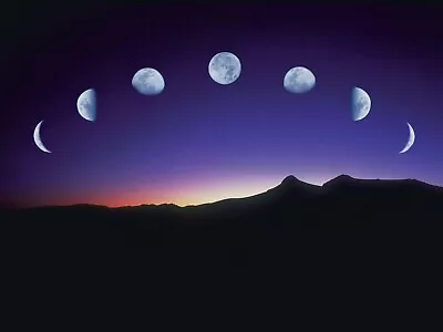 Phases Of The Moon 8x10 Glossy Photo Picture Image #2 • $3.99