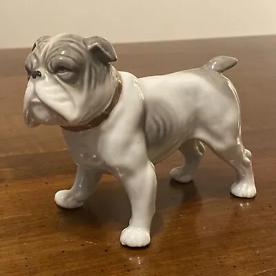 Vintage Bull Dog Figurine  PORCELAIN Standing Collar  Signed Collectible • $95